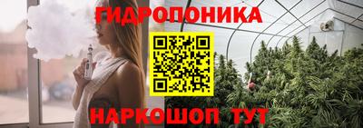 стаф Кулебаки
