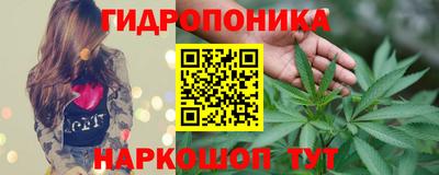 стаф Кулебаки
