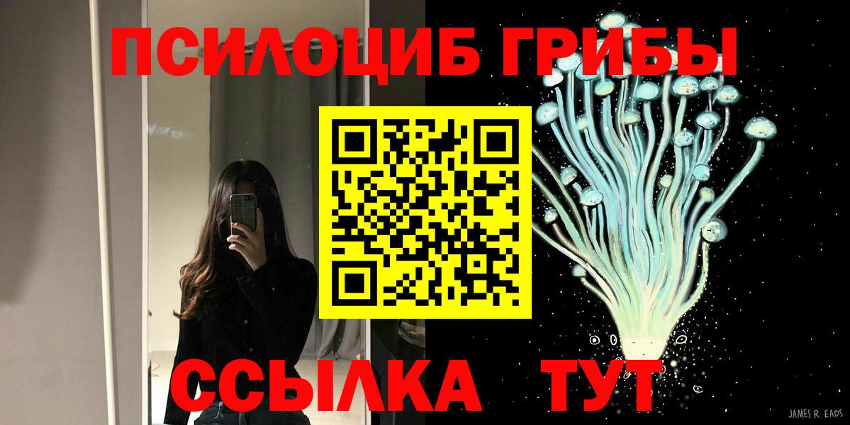 Галлюциногенные грибы прущие грибы  Вход с VPN  Знаменск  Галлюциногенные грибы мухоморы 